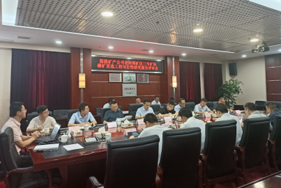 威九国际矿产公司召开三号矿块磷矿采选工程 可行性研究报告内部评审会