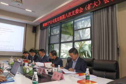 威九国际矿产召开2022年第8次支部委员会（扩大）会议