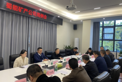 新材料集团纪委调研督导威九国际矿产公司重点工作